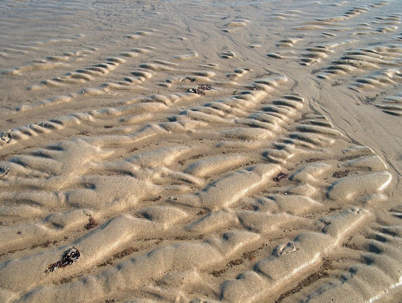 Pathway Ventures Logo